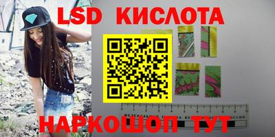 амф Кингисепп