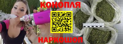 амф Кингисепп