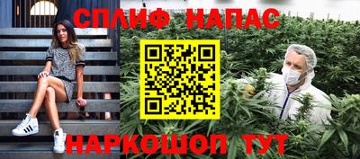 амф Кингисепп