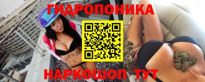 амф Кингисепп