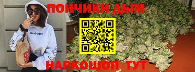 амф Кингисепп