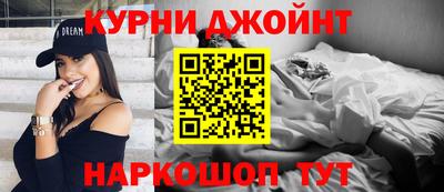 амф Кингисепп