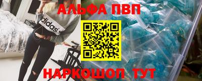 амф Кингисепп