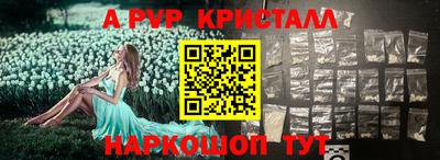 амф Кингисепп