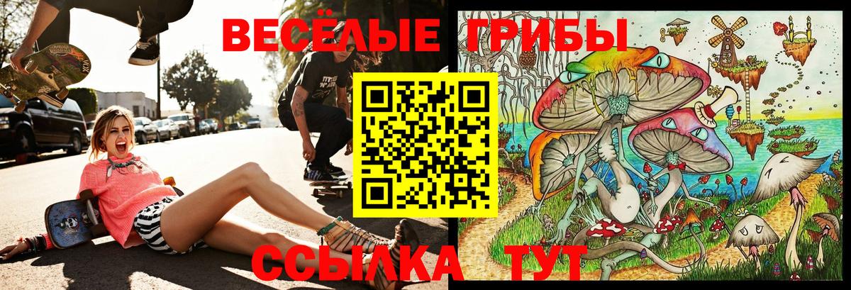 Галлюциногенные грибы прущие грибы  Галлюциногенные грибы Psilocybine cubensis  Вход с VPN  купить  сайты  Кувандык 